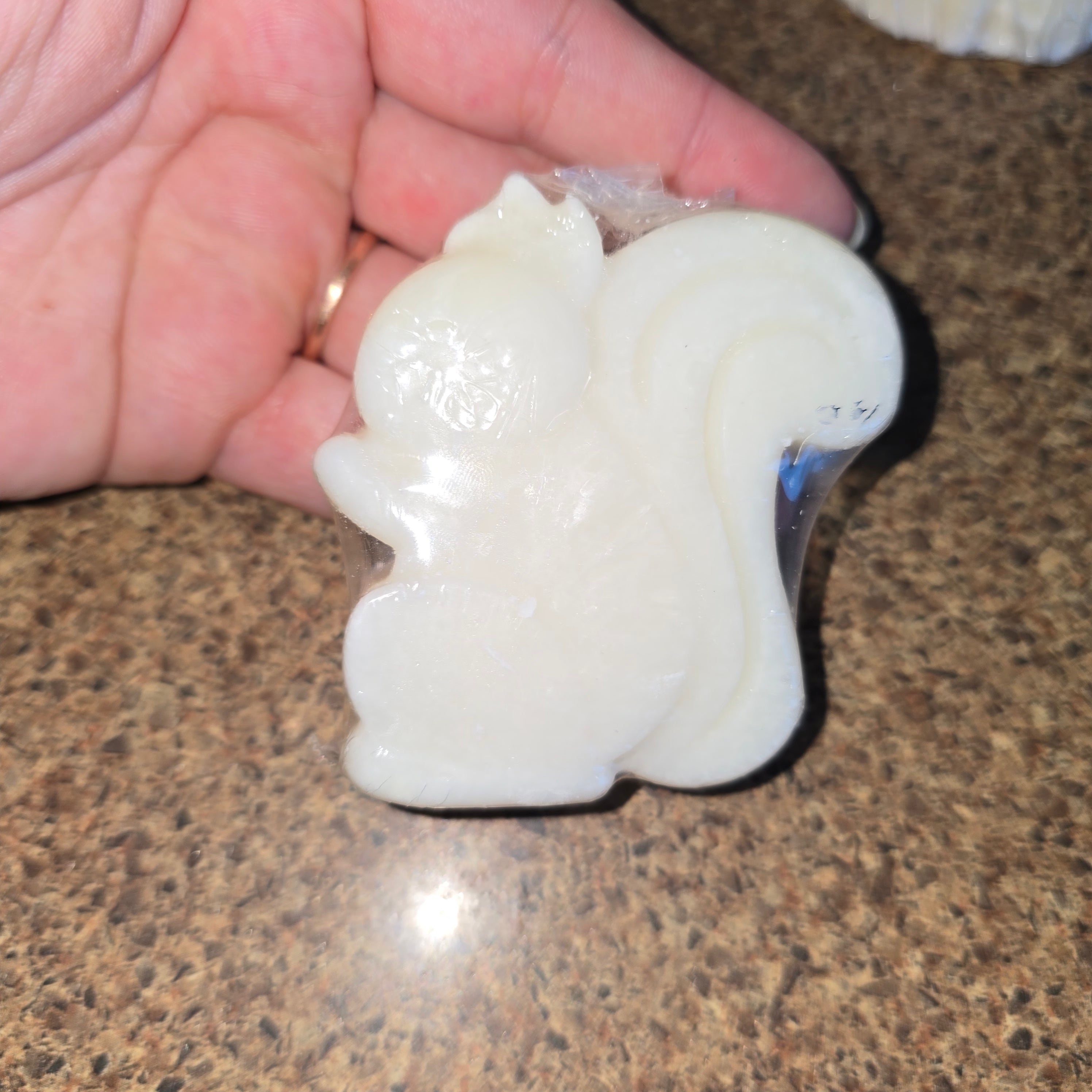 Détachant forme automne