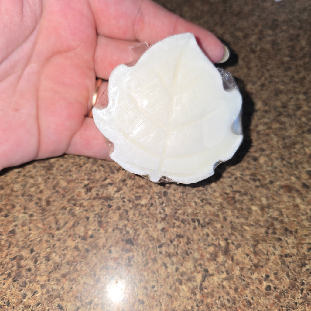 Détachant forme automne